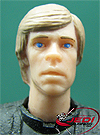 Luke Skywalker, With Rancor figure
