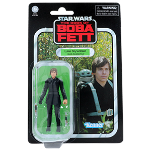 Luke Skywalker Jedi Academy