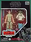 Luke Skywalker, Jedi Training 2-Pack With Yoda figure