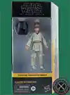 Anakin Skywalker, figure