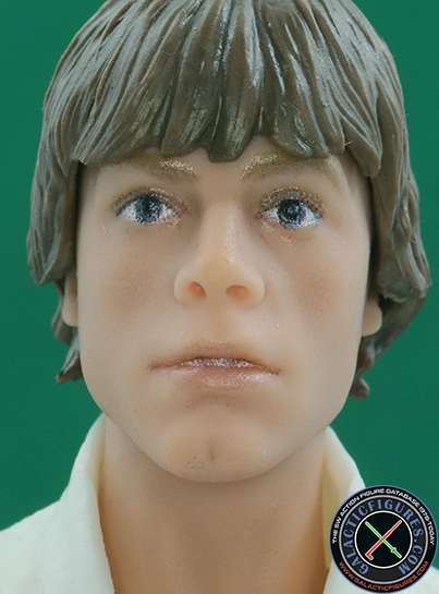 Luke Skywalker  Star Wars The Black Series