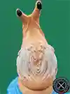  Skoova Stev