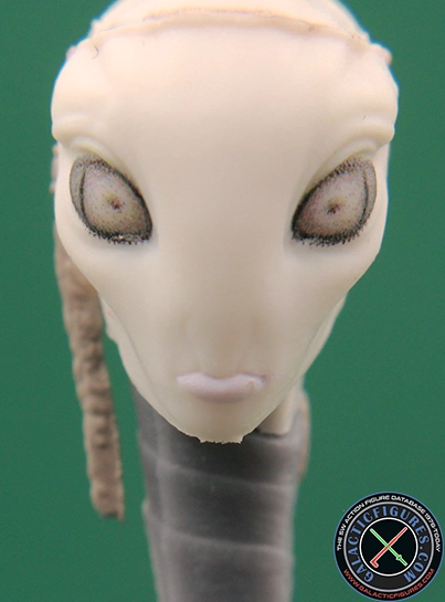 Taun We (Star Wars The Black Series)