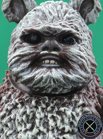 Wicket  Star Wars The Black Series