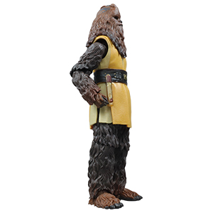 Kelnacca Jedi Master