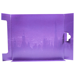 2-Pack With Luke (Coruscant Guard) And Leia (Boushh)