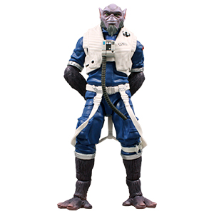  New Republic Pilot