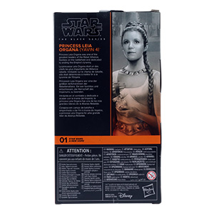 Princess Leia Organa Yavin 4
