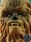  Chewbacca