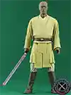 Celebrate The Saga Mace Windu
