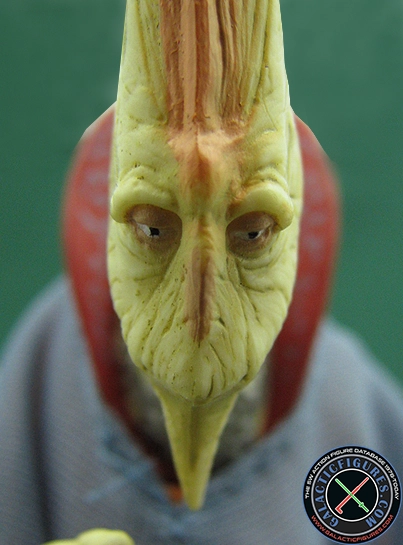 Graxol Kelvyyn Watto's Box The Episode 1 Collection