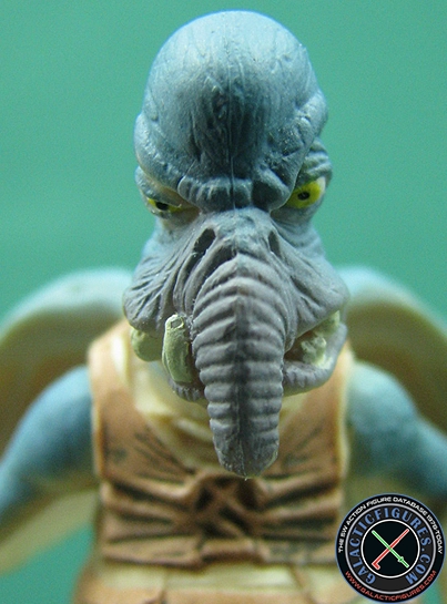 Watto Watto's Box The Episode 1 Collection
