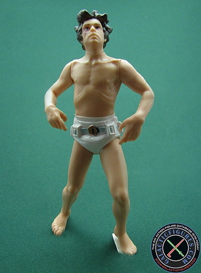Luke Skywalker figure, POTJDeluxe