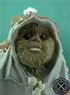  Paploo