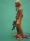 Rorworr, Wookiee Scout with Role Playing Game figure