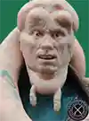  Bib Fortuna