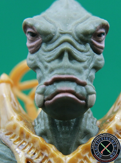 Geonosian Warrior Geonosian Picador Star Wars The Vintage Collection