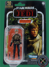 Luke Skywalker, Endor figure