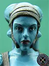 Aayla Secura Revenge Of The Sith The Vintage Collection