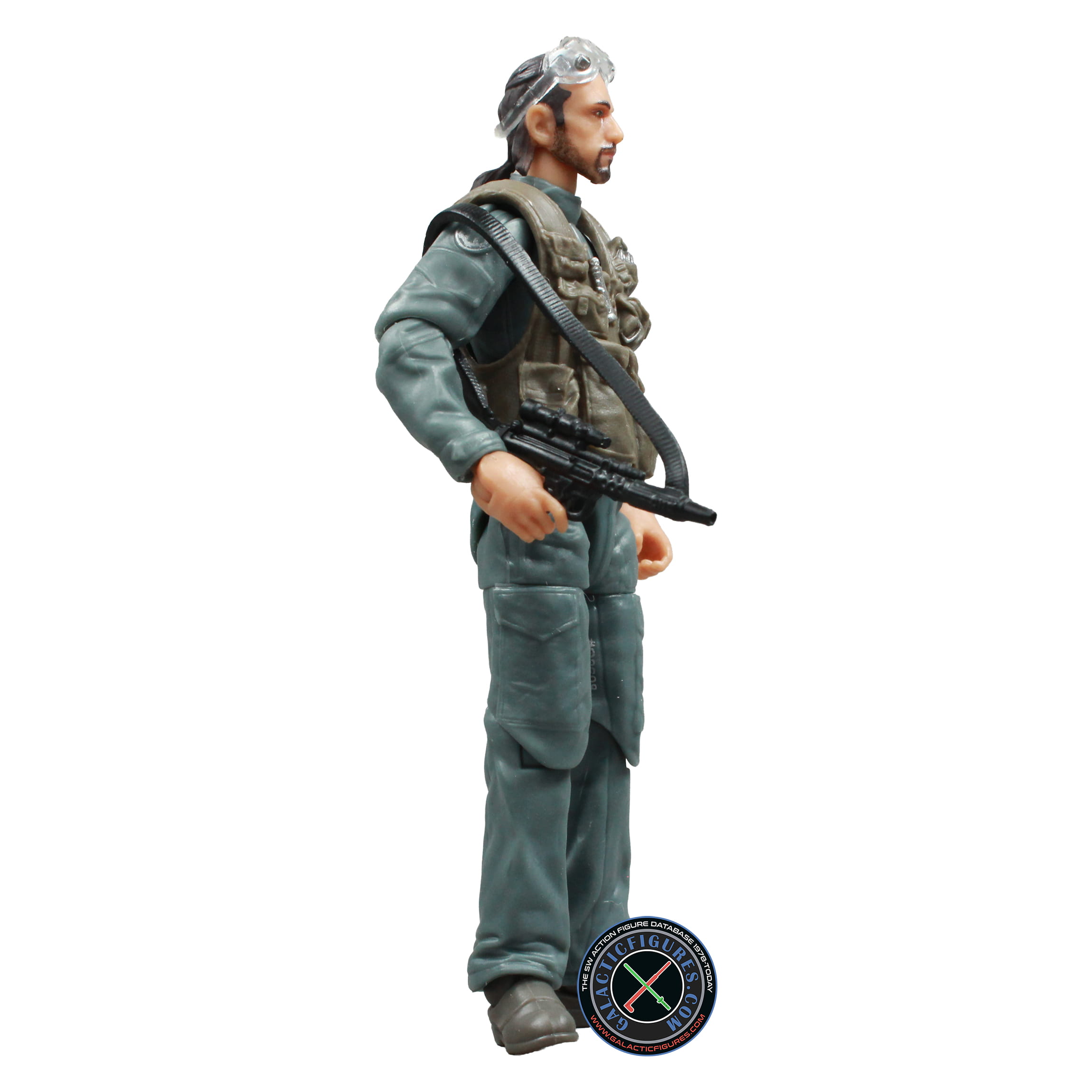 Bodhi Rook