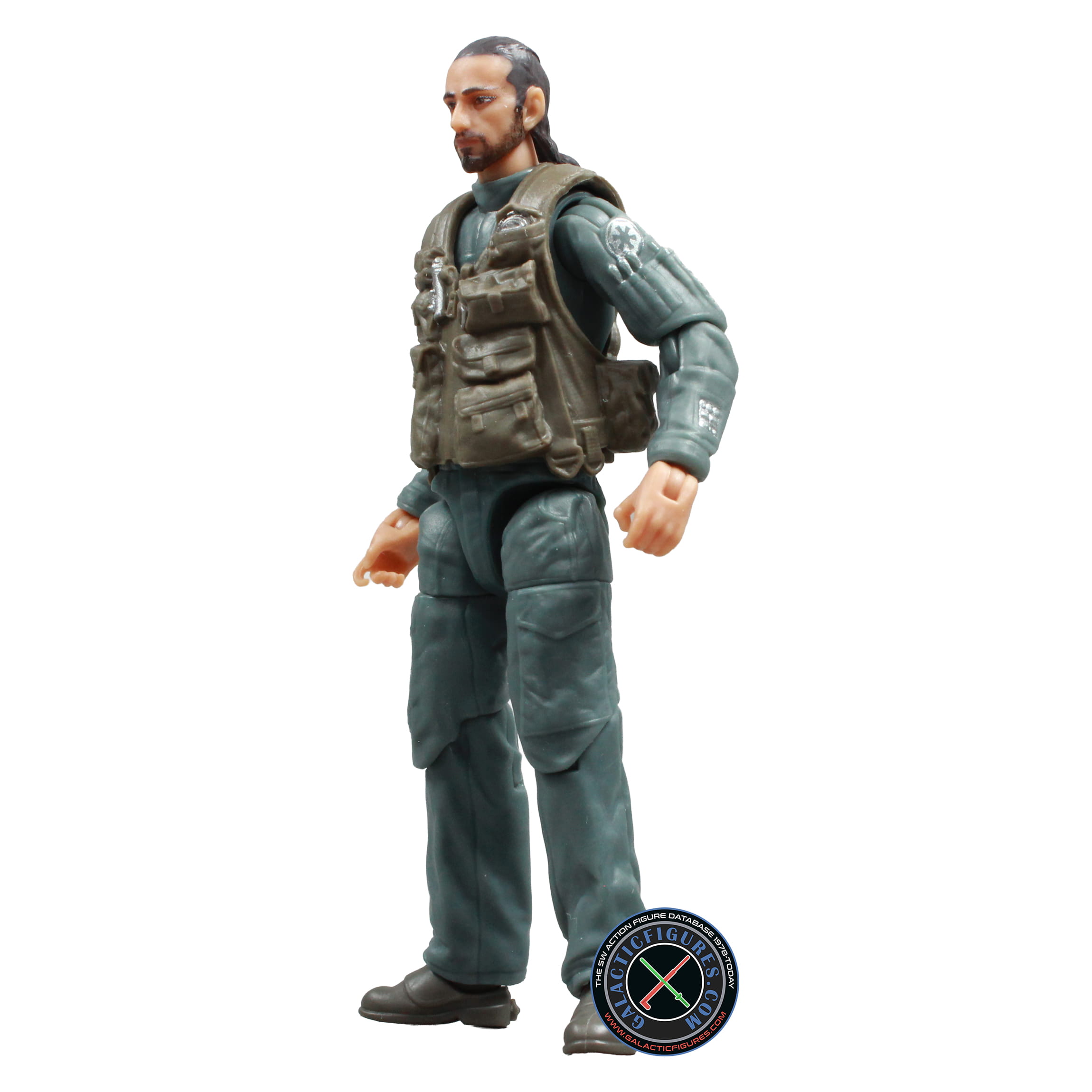 Bodhi Rook