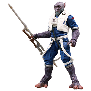  New Republic Pilot