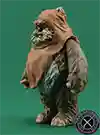  Wicket