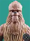  Wookiee Warrior