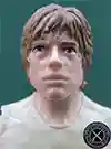 Luke Skywalker Dagobah The Black Series 3.75"
