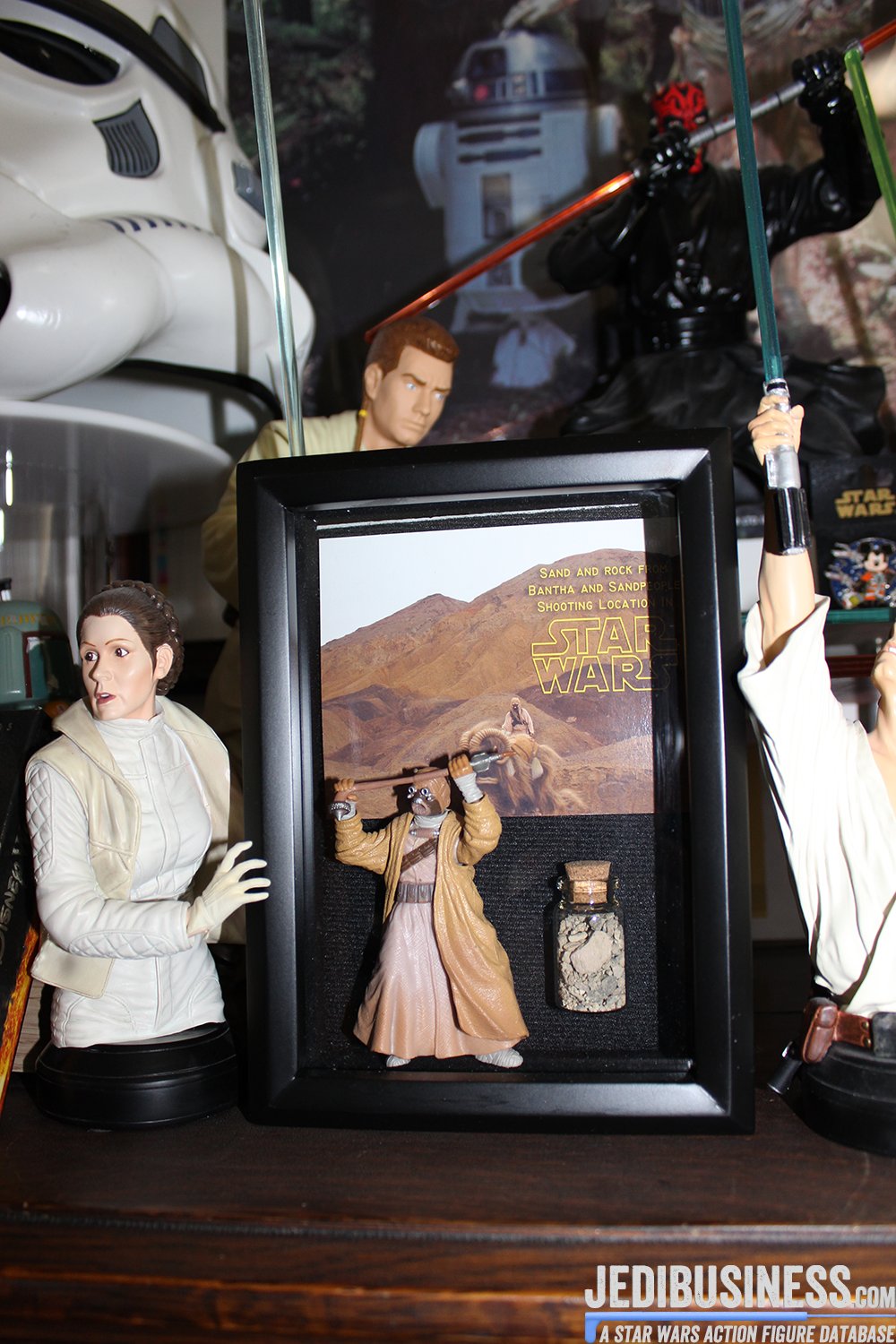 Lauren Bock's Star Wars Collection