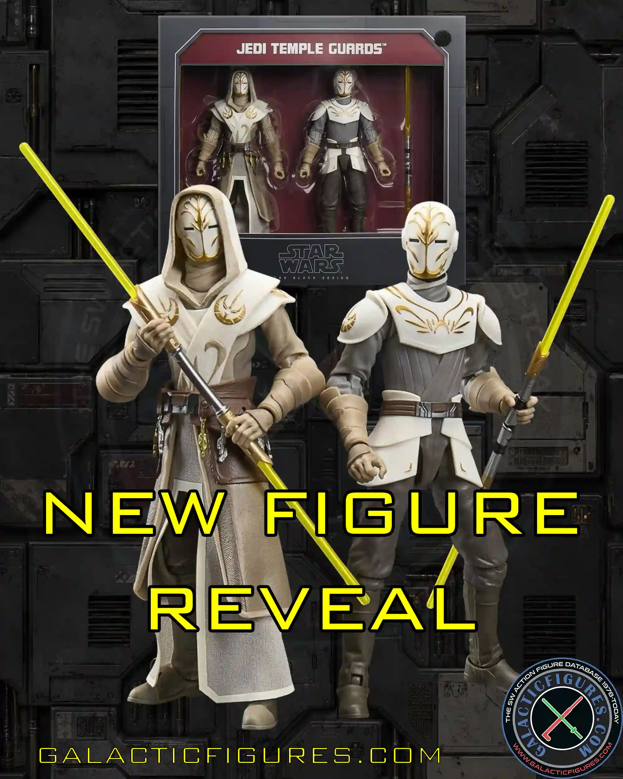 Black Series Jedi Temple Guard 2-Pack Reveal