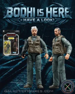 VC403 Bodhi Rook!