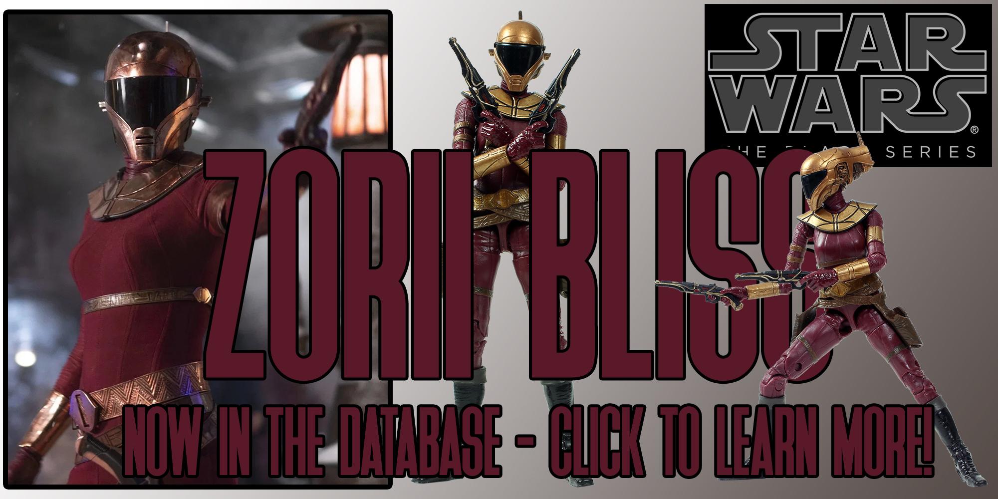 Black Series Zorii Bliss - Now In The Database!