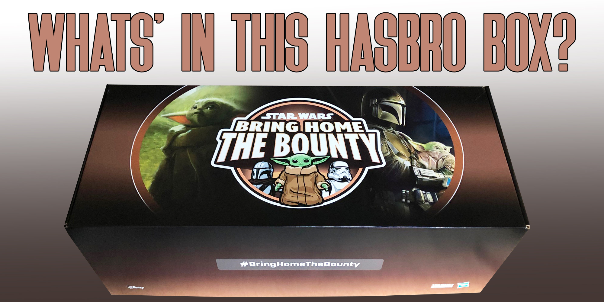 What's In This Hasbro Box?