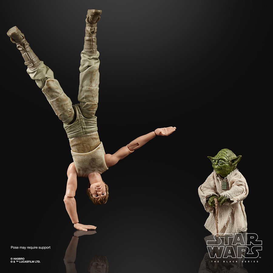 Black Series Luke Skywalker Yoda